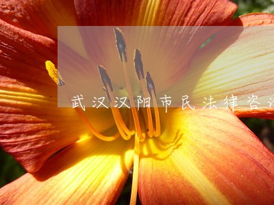 武汉汉阳市民法律咨询