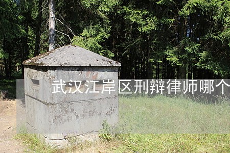 武汉江岸区刑辩律师哪个好 武汉江岸区刑辩律师哪个好