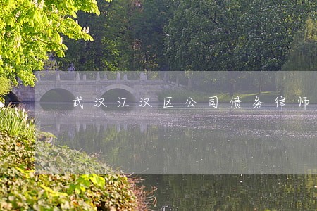 武汉江汉区公司债务律师 武汉江汉区公司债务律师