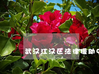 武汉江汉区法律援助中心在哪 武汉江汉区法律援助中心在哪