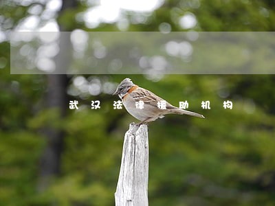 武汉法律援助机构