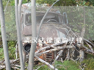 武汉法律援助法律