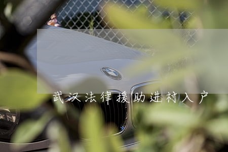 武汉法律援助进村入户 武汉法律援助进村入户