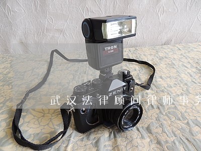 武汉法律顾问律师事务所