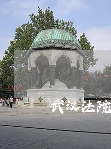 武汉法院五一节前拘留老赖43人 武汉法院五一节前拘留老赖43人