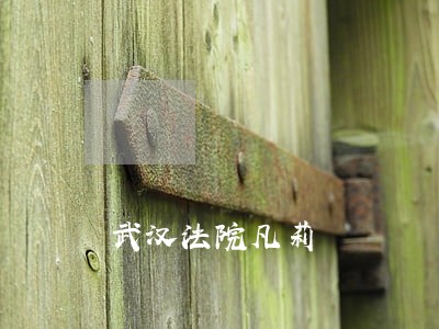 武汉法院凡莉 武汉法院凡莉