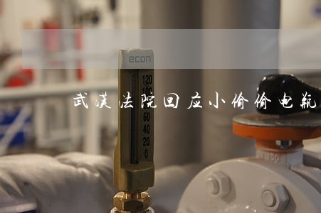 武汉法院回应小偷偷电瓶被电死 武汉法院回应小偷偷电瓶被电死