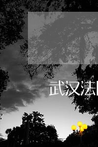 武汉法院机器导诉人