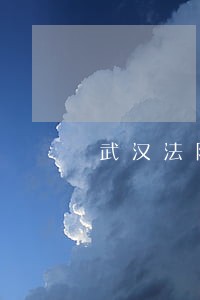 武汉法院档案 武汉法院档案