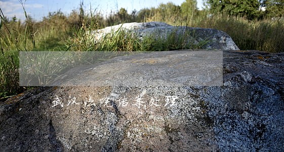 武汉法院结案处理 武汉法院结案处理
