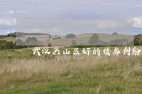 武汉洪山区好的债务纠纷律师 武汉洪山区好的债务纠纷律师