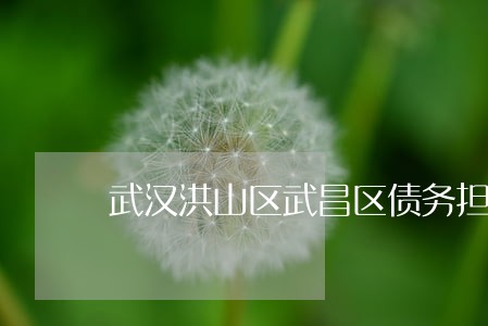 武汉洪山区武昌区债务担保律师 武汉洪山区武昌区债务担保律师