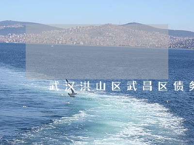 武汉洪山区武昌区债务纠纷律师 武汉洪山区武昌区债务纠纷律师