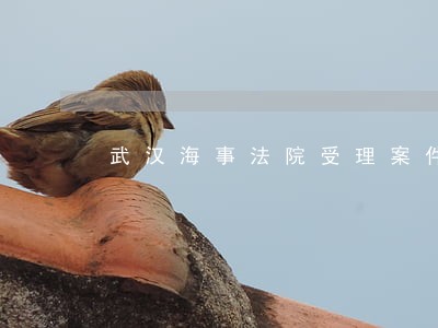 武汉海事法院受理案件范围 武汉海事法院受理案件范围