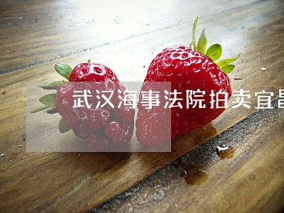 武汉海事法院拍卖宜昌神舟