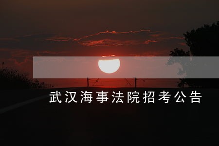 武汉海事法院招考公告 武汉海事法院招考公告