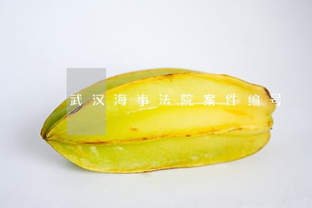 武汉海事法院案件编号