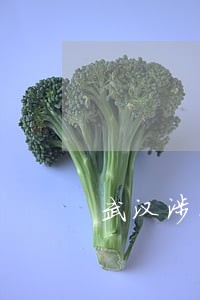 武汉涉外婚姻专业律师 武汉涉外婚姻专业律师