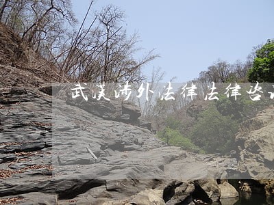 武汉涉外法律法律咨询 武汉涉外法律法律咨询