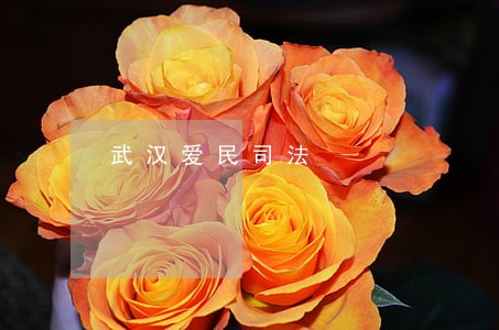 武汉爱民司法