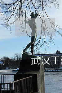 武汉王蕾律师 武汉王蕾律师