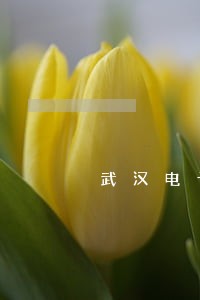 武汉电子眼违法行为实行终身制 武汉电子眼违法行为实行终身制