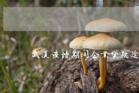 武汉疫情期间企业贷款逾期 武汉疫情期间企业贷款逾期