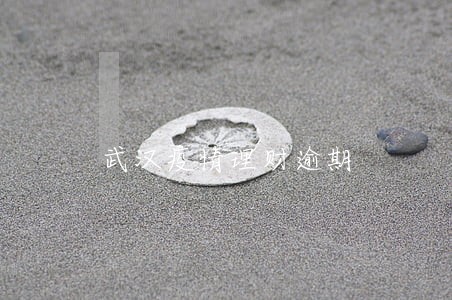 武汉疫情理财逾期 武汉疫情理财逾期