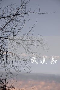 武汉知名人身损害赔偿律师在哪里 武汉知名人身损害赔偿律师在哪里