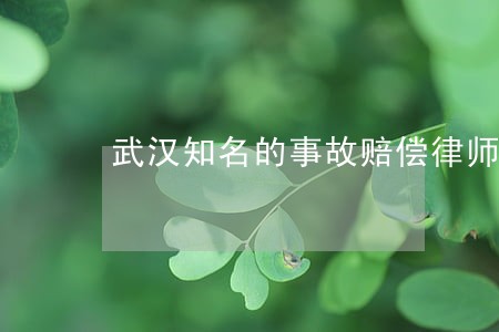 武汉知名的事故赔偿律师电话咨询 武汉知名的事故赔偿律师电话咨询