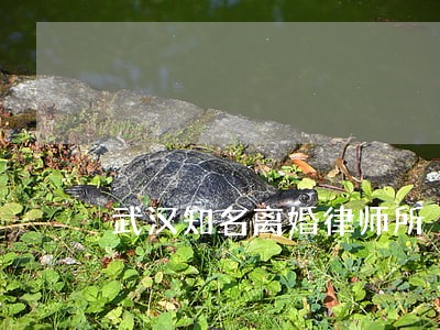 武汉知名离婚律师所 武汉知名离婚律师所
