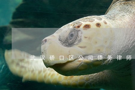 武汉硚口区公司债务律师 武汉硚口区公司债务律师