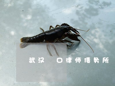 武汉硚口律师债务所 武汉硚口律师债务所