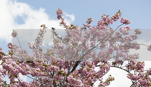 武汉硚口房产律师咨询 武汉硚口房产律师咨询