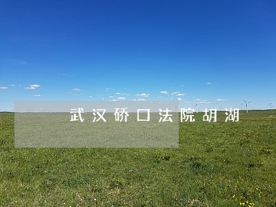 武汉硚口法院胡湖