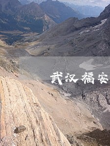 武汉福安顺通法律咨询