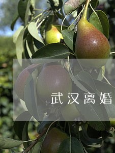 武汉离婚后户口能分户吗