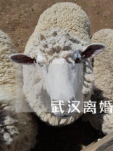 武汉离婚律师哪些好 武汉离婚律师哪些好