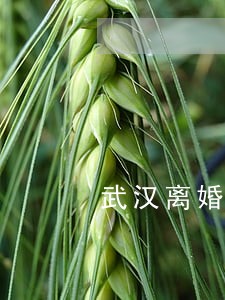 武汉离婚律师在哪里找 武汉离婚律师在哪里找