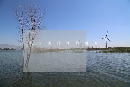 武汉离婚律师排名 武汉离婚律师排名