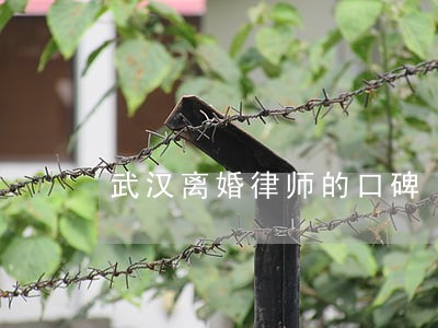 武汉离婚律师的口碑 武汉离婚律师的口碑
