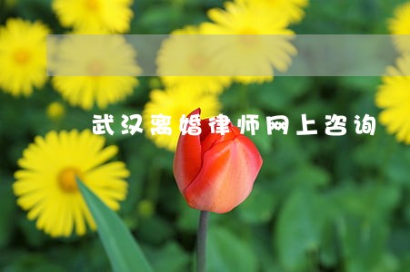 武汉离婚律师网上咨询 武汉离婚律师网上咨询