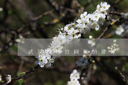 武汉租赁合同纠纷律师 武汉租赁合同纠纷律师