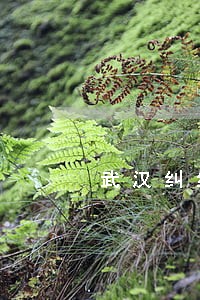 武汉纠纷法律咨询清单 武汉纠纷法律咨询清单