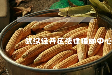 武汉经开区法律援助中心 武汉经开区法律援助中心
