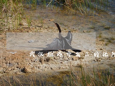 武汉经济开发区的法院电话号码 武汉经济开发区的法院电话号码