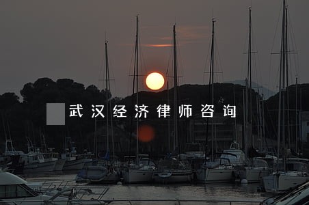 武汉经济律师咨询 武汉经济律师咨询