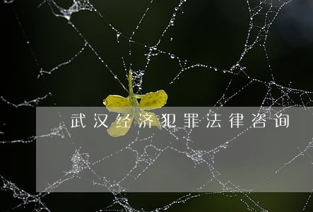 武汉经济犯罪法律咨询 武汉经济犯罪法律咨询