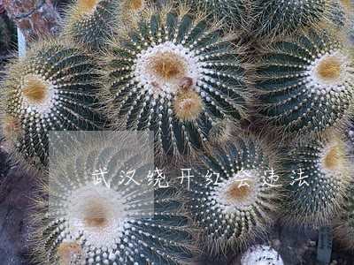 武汉绕开红会违法 武汉绕开红会违法