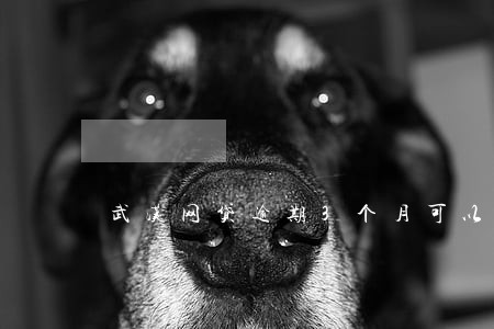 武汉网贷逾期3个月可以抵押吗 武汉网贷逾期3个月可以抵押吗